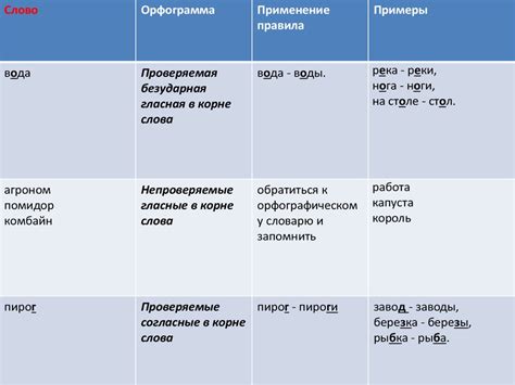 Орфограммы: примеры и объяснение