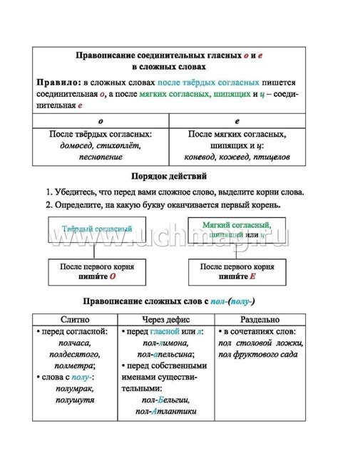 Орфограммы во 2 классе: основные правила и примеры