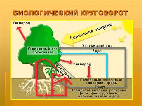 Освобождение энергии: сущность и значение