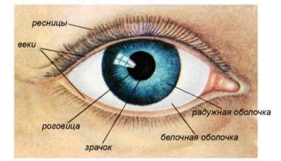 Ослабленное зрение и узкий зрачок