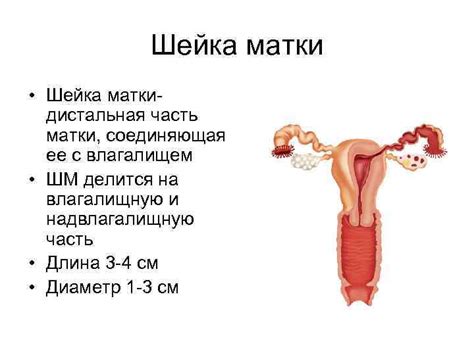 Осложнения, связанные с вирусным поражением шейки матки