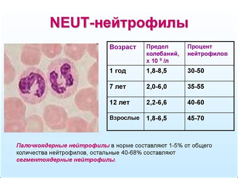 Осложнения и последствия недостатка нейтрофилов в крови