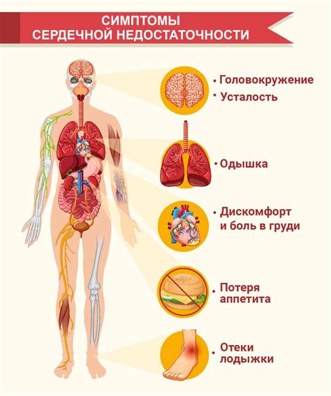 Осложнения сердечно-сосудистой недостаточности (ХСН): причины возникновения, характерные симптомы и методы лечения