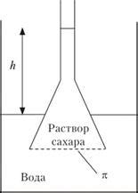 Осмотическое давление в растворах