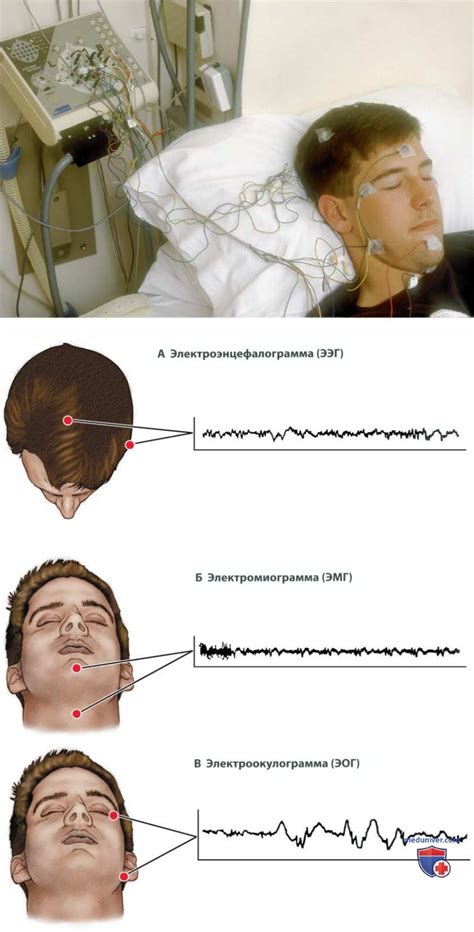 Осмысление сна с физиологической точки зрения