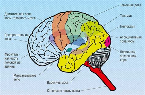 Осмысление структуры сновидений