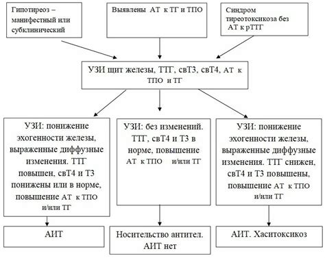 Основания постановки диагноза аутоиммунного тиреоидита