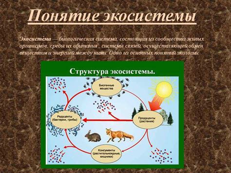 Основа экосистемы