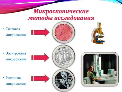 Основной метод исследования снов: сеть полной рыбы