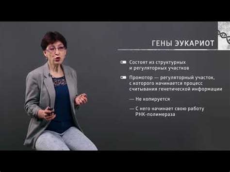 Основные аспекты понимания сновидений