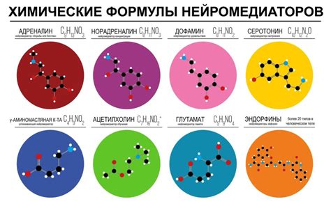 Основные виды гормонов счастья