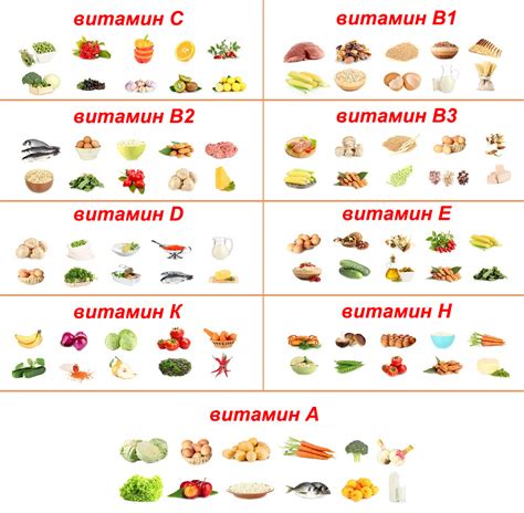Основные группы витаминов и минералов
