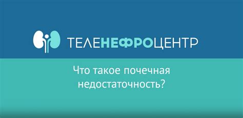 Основные заболевания почек