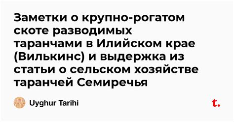 Основные значения символики снов о рогатом скоте