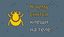 Основные значения сна о впившемся клеще энцефалитном: толкование сновидения