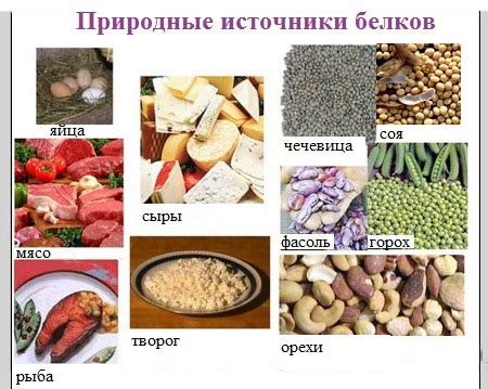 Основные источники белка в питании молодежи