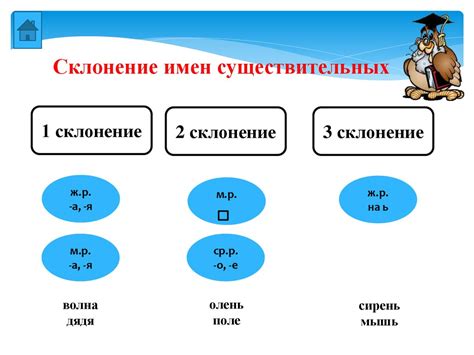 Основные категории грамматического значения существительного