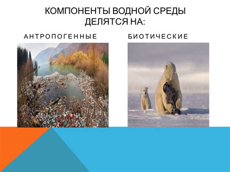 Основные компоненты водной системы