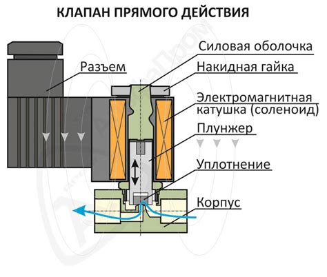 Основные компоненты остиального клапана