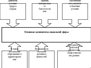 Основные компоненты социальной сферы