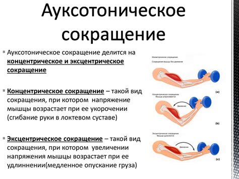 Основные методы профилактики сокращения мышц