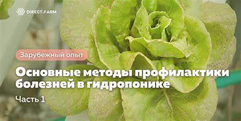 Основные методы профилактики частого регургитирования