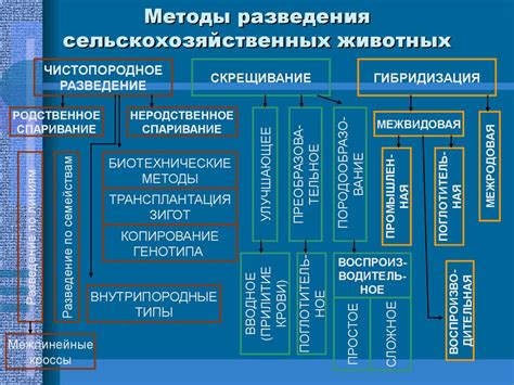 Основные методы разведения