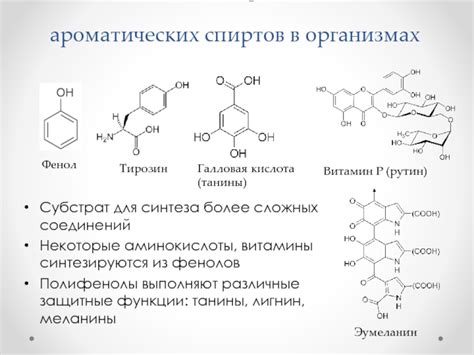 Основные механизмы синтеза в организмах