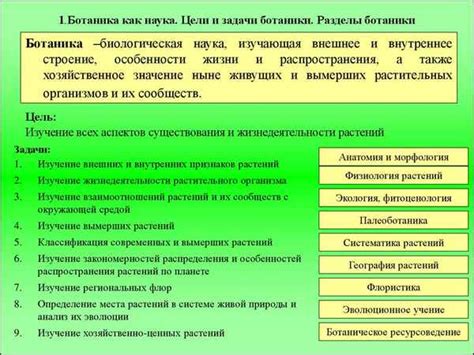 Основные направления наук ботаники и их области исследования