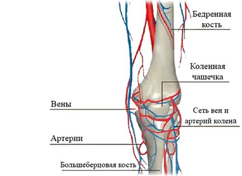 Основные области применения колена номинала