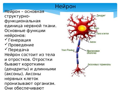 Основные отличия нейронов и нейтронов