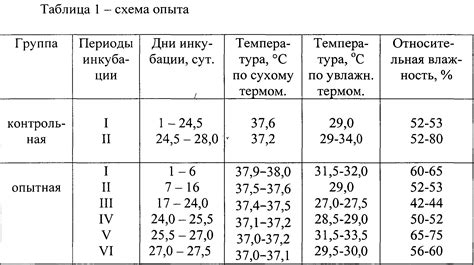 Основные понятия и процессы инкубации