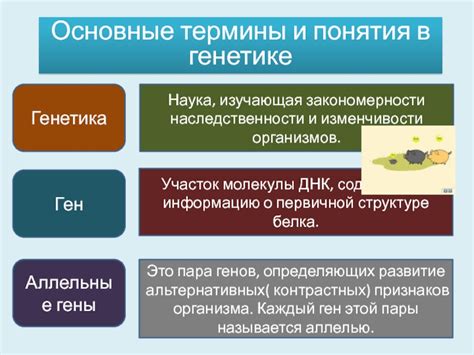 Основные понятия и термины в генетике