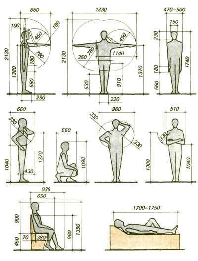 Основные понятия размеров мебели