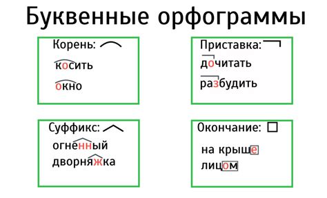 Основные правила подчеркивания орфограмм