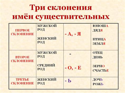 Основные правила склонения существительных