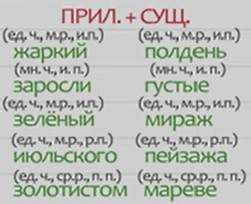 Основные правила согласования причастий с выделенными существительными