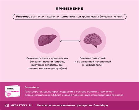 Основные признаки и симптомы гепа мерц