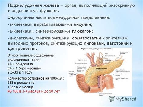 Основные признаки недостаточности поджелудочной железы