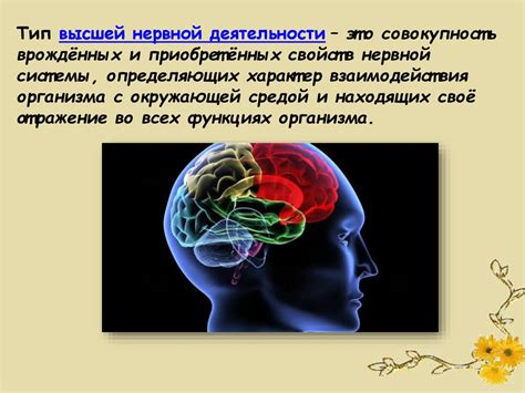 Основные признаки слабого типа высшей нервной деятельности