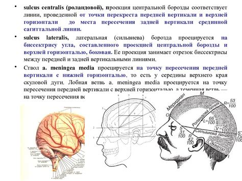 Основные принципы использования головы как дома советов