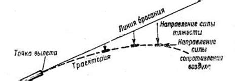 Основные принципы и значение настильности пули