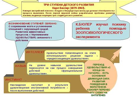 Основные принципы и идеи альт-движения