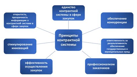 Основные принципы контрактной системы