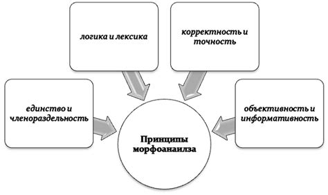 Основные принципы морфологической оценки