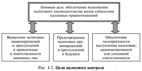 Основные принципы налоговых направленных актов