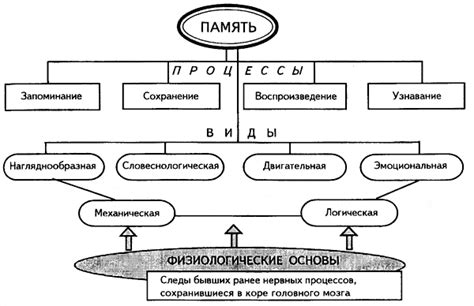 Основные принципы написания по памяти