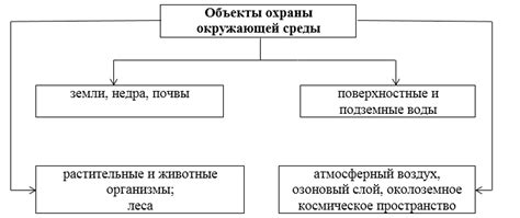 Основные принципы охраны поверхности