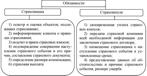 Основные принципы полиса погашен