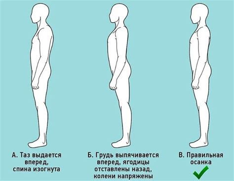 Основные принципы правильной осанки